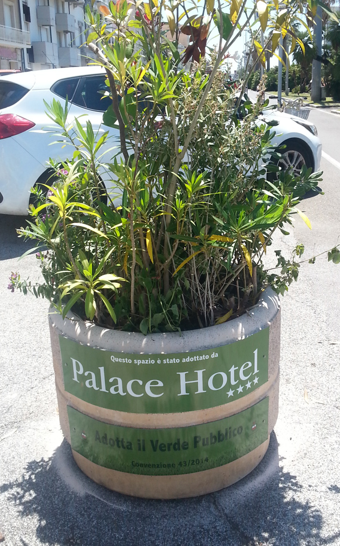 pagine_55b9c57351c0a