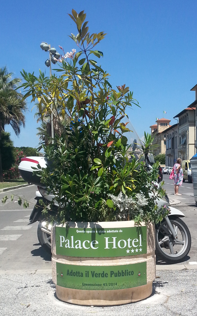 pagine_55b9c579ae2e1